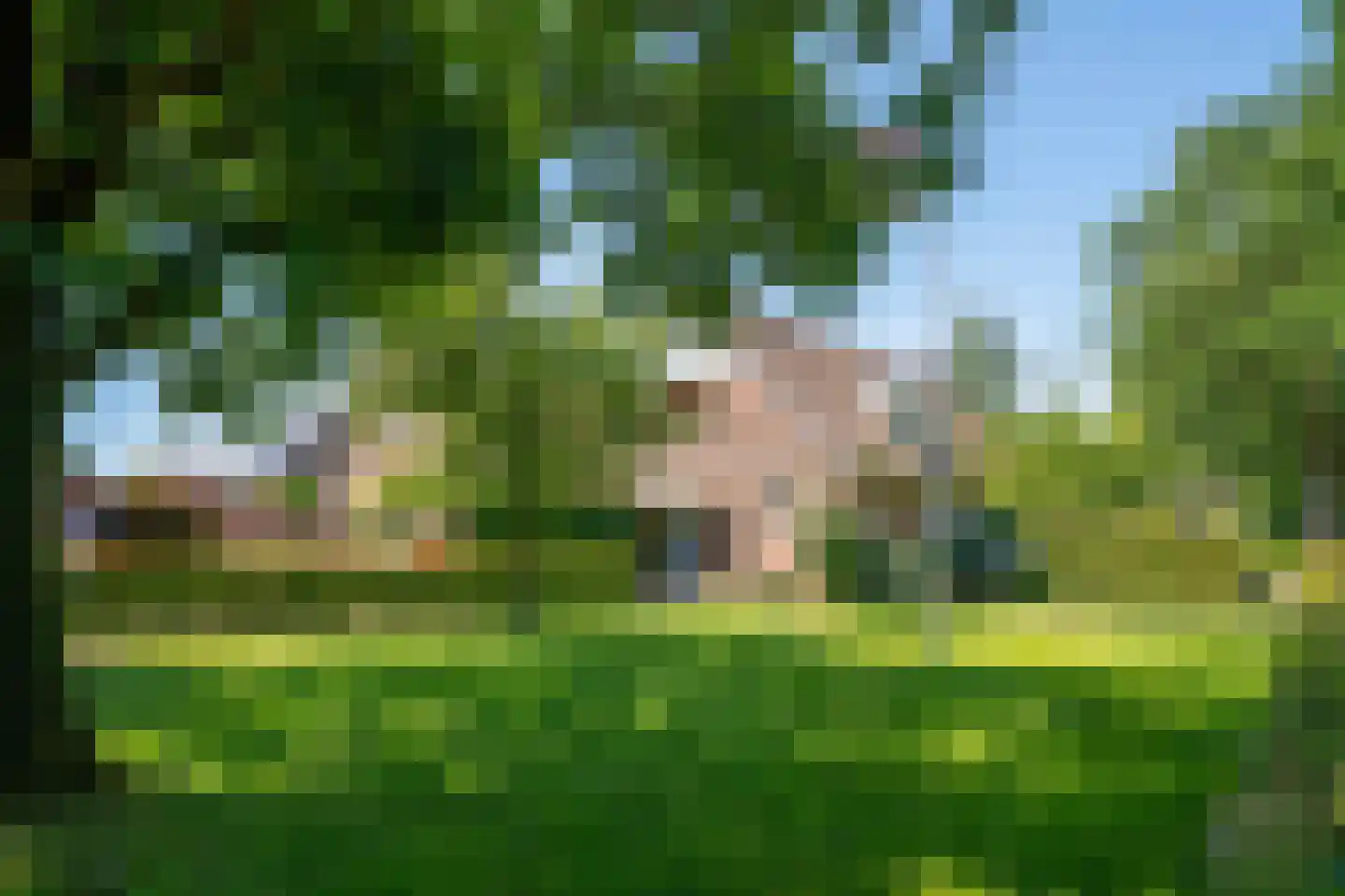 De Groenkampen 39 Hooghalen thumbnail 47