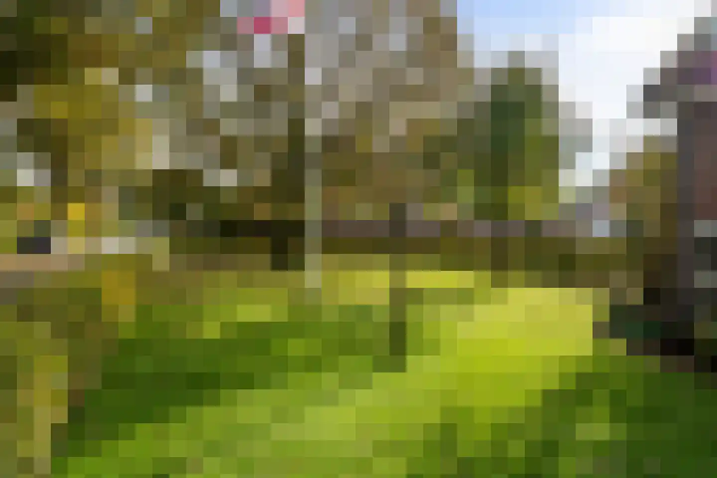 De Groenkampen 39 Hooghalen thumbnail 47