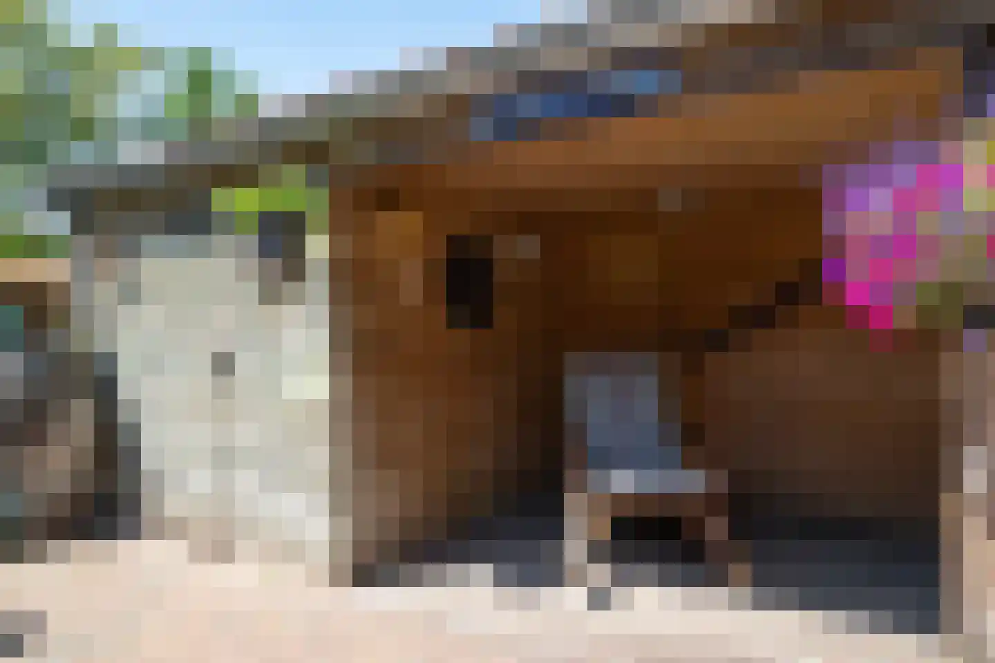 De Groenkampen 39 Hooghalen thumbnail 50