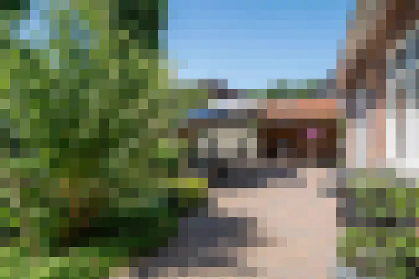 De Groenkampen 39 Hooghalen thumbnail 51