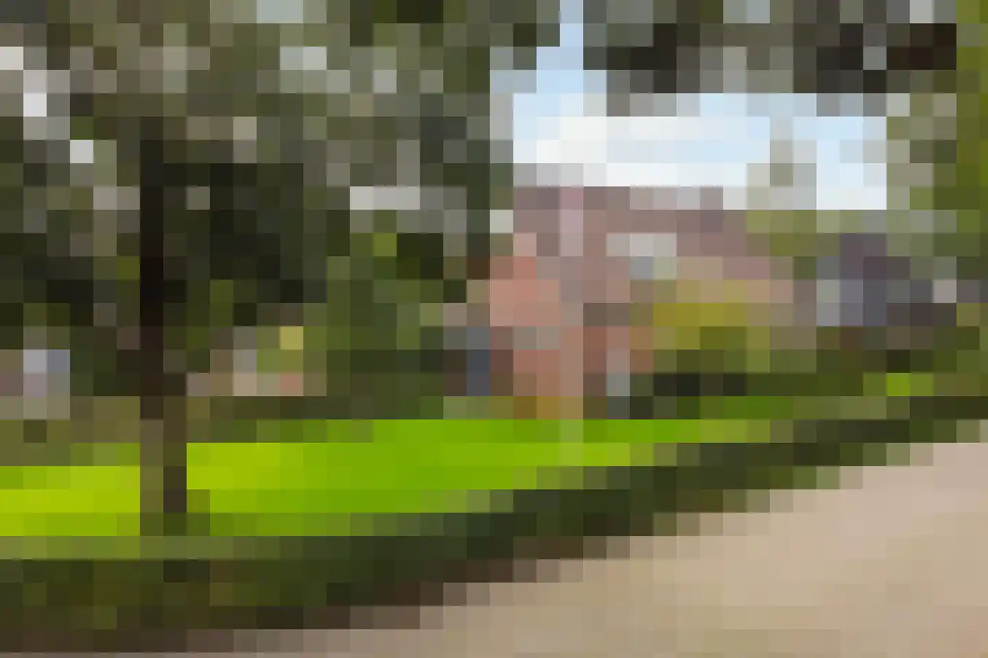 De Groenkampen 39 Hooghalen thumbnail 54