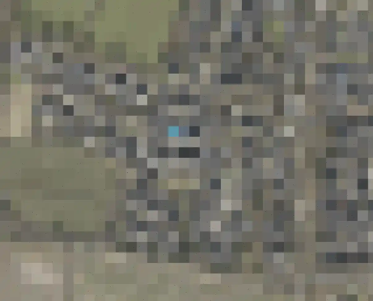 De Groenkampen 6 Hooghalen thumbnail 6