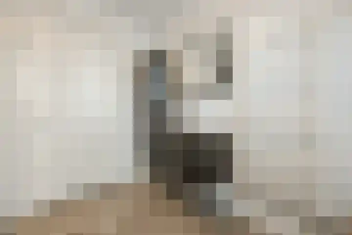 de Groenling 15 Hoogerheide thumbnail 38