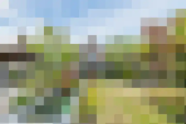de Groenling 15 Hoogerheide thumbnail 40