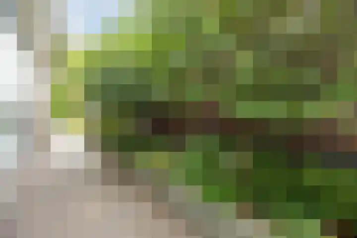 de Groenling 15 Hoogerheide thumbnail 42