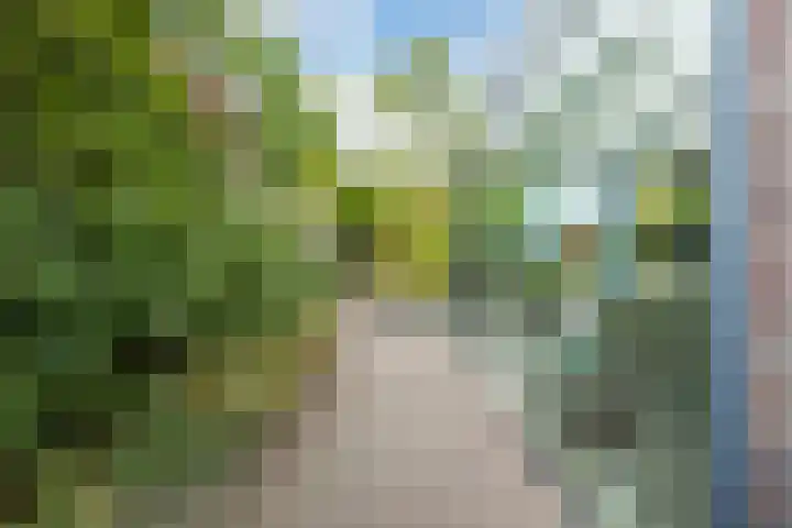 de Groenling 15 Hoogerheide thumbnail 43