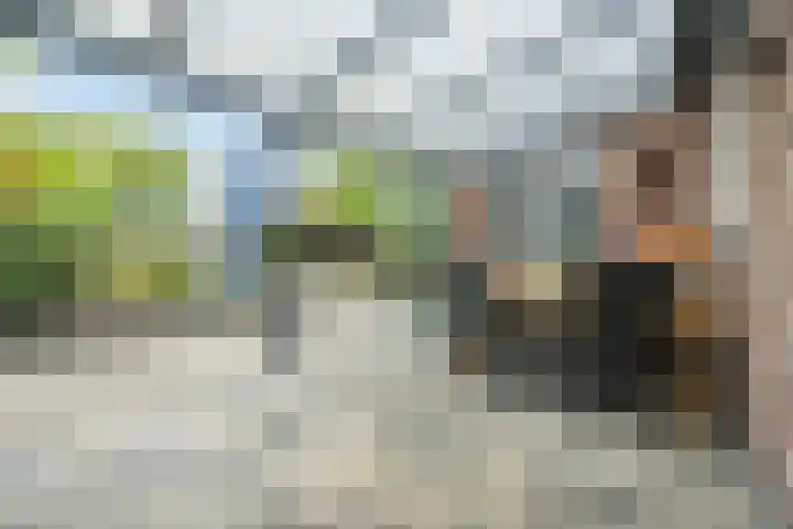 de Groenling 15 Hoogerheide thumbnail 47