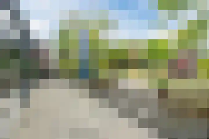 de Groenling 15 Hoogerheide thumbnail 48