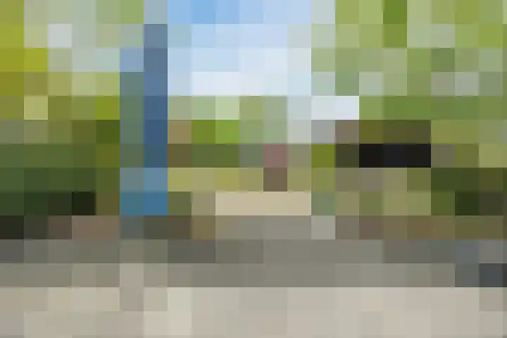 de Groenling 15 Hoogerheide thumbnail 49