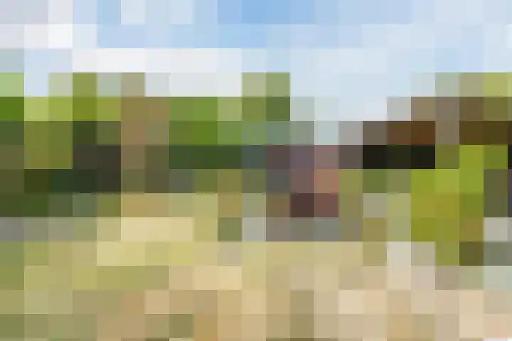 de Groenling 15 Hoogerheide thumbnail 51