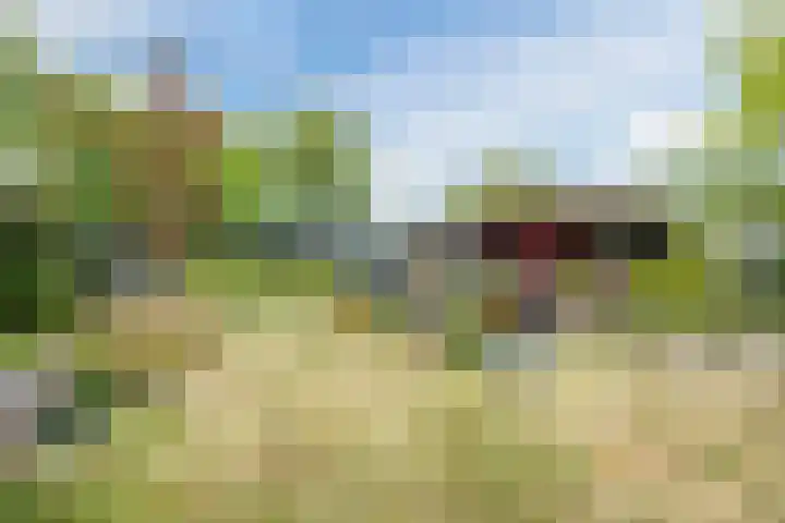 de Groenling 15 Hoogerheide thumbnail 52