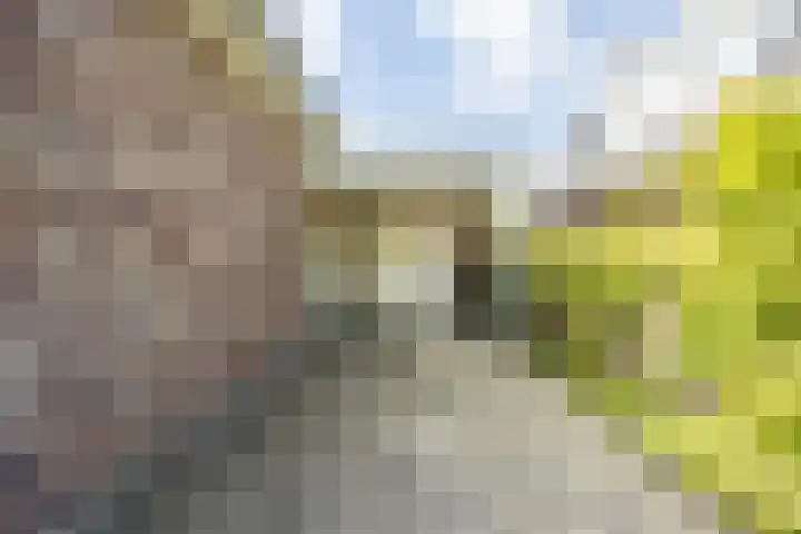 de Groenling 15 Hoogerheide thumbnail 55