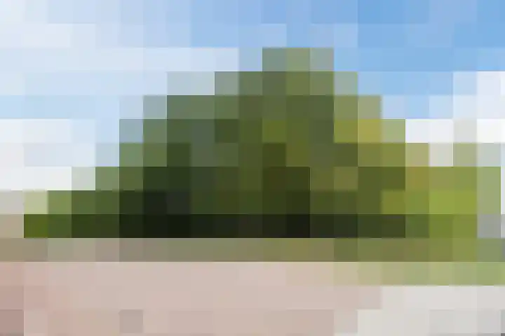 de Groenling 15 Hoogerheide thumbnail 59