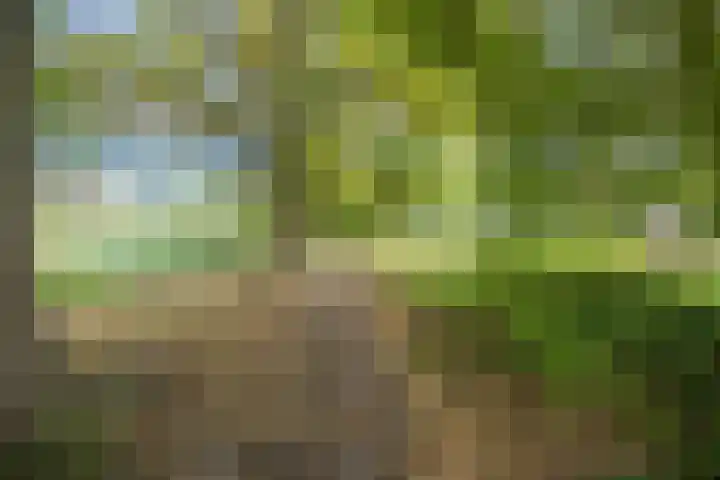 de Groenling 15 Hoogerheide thumbnail 60