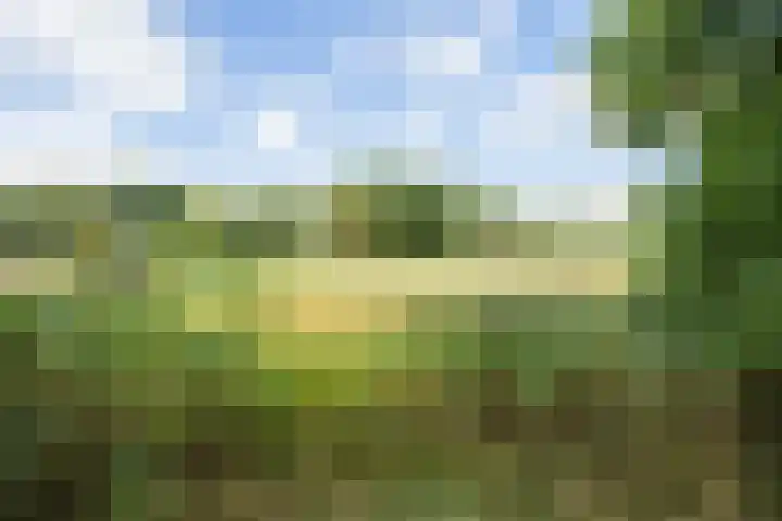 de Groenling 15 Hoogerheide thumbnail 61