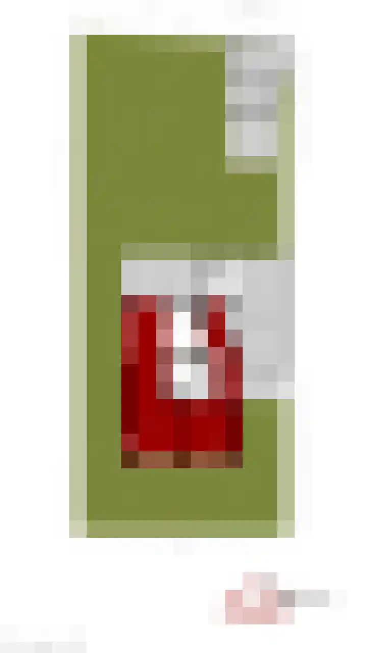 de Groenling 15 Hoogerheide thumbnail 66