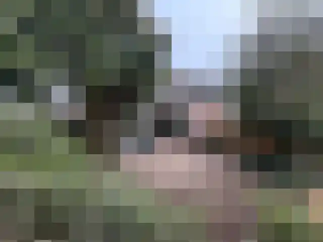 De Groenling 18 Vriezenveen thumbnail 13