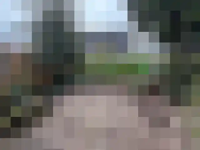 De Groenling 18 Vriezenveen thumbnail 14