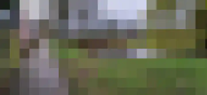 De Groenling 18 Vriezenveen thumbnail 15