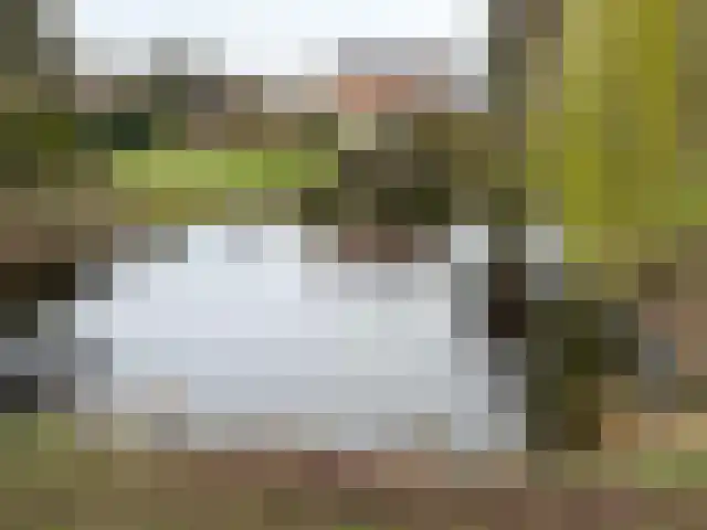 De Groenling 18 Vriezenveen thumbnail 16