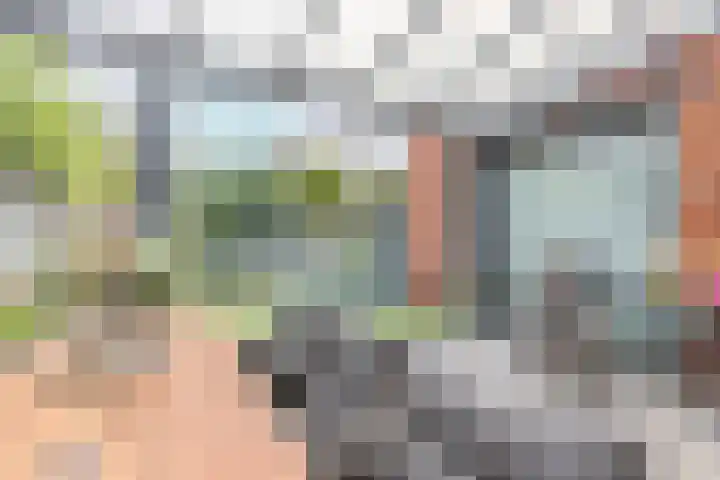 de Groenling 26 Hoogerheide thumbnail 15