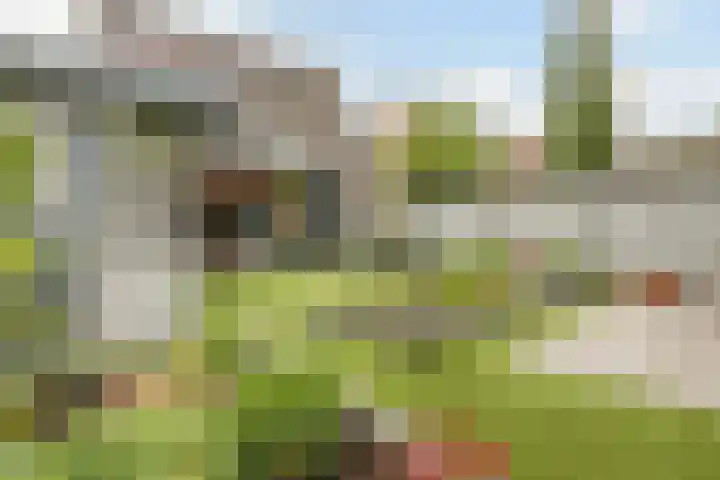 de Groenling 26 Hoogerheide thumbnail 39