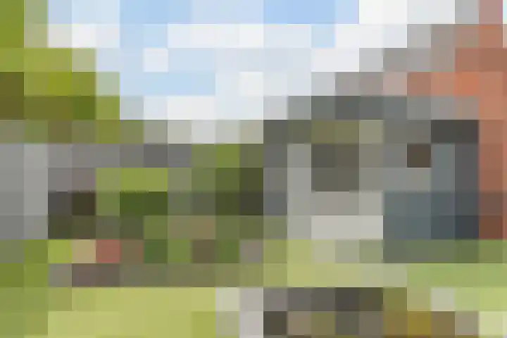 de Groenling 26 Hoogerheide thumbnail 41