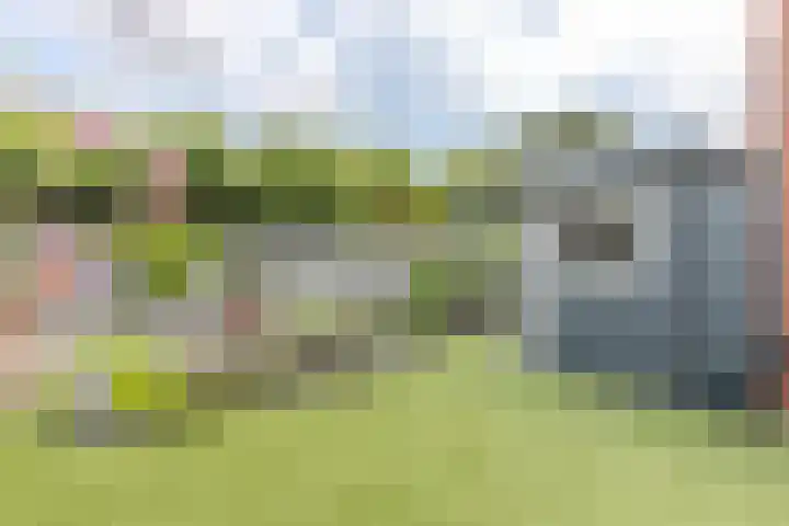 de Groenling 26 Hoogerheide thumbnail 42