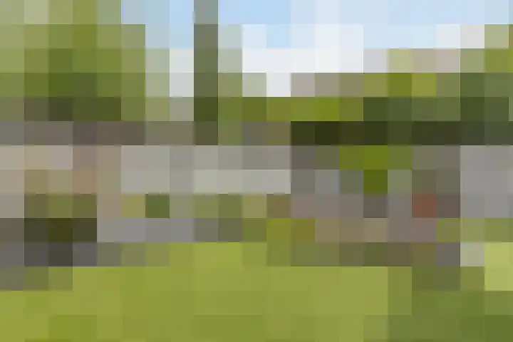 de Groenling 26 Hoogerheide thumbnail 43