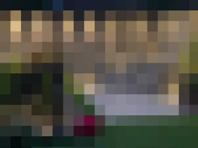 de Groenling 26 Hoogerheide thumbnail 46
