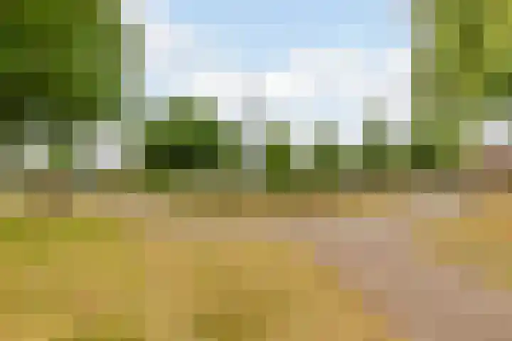 de Groenling 26 Hoogerheide thumbnail 47