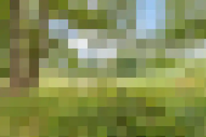 de Groenling 26 Hoogerheide thumbnail 48