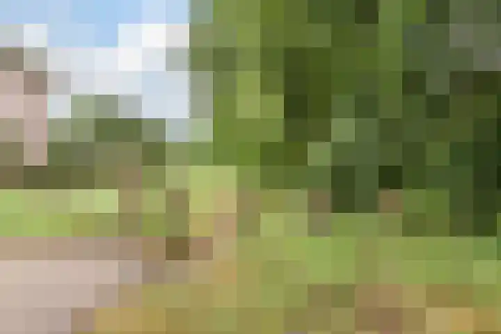 de Groenling 26 Hoogerheide thumbnail 49