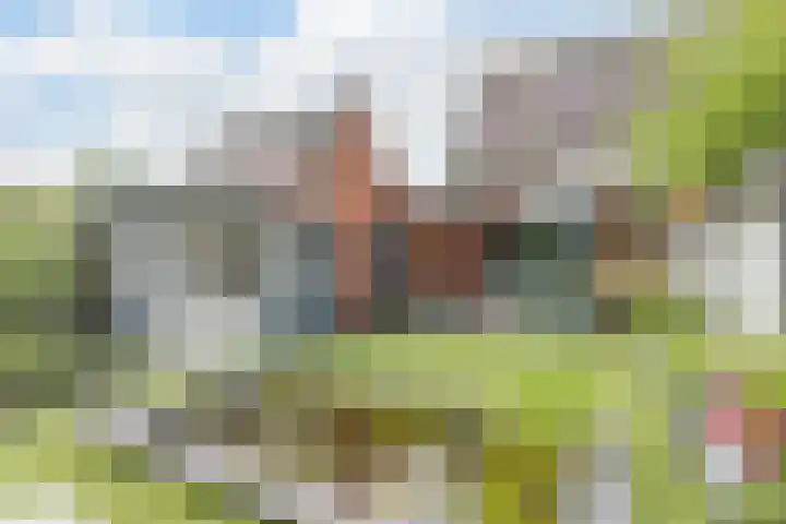 de Groenling 26 Hoogerheide thumbnail 57