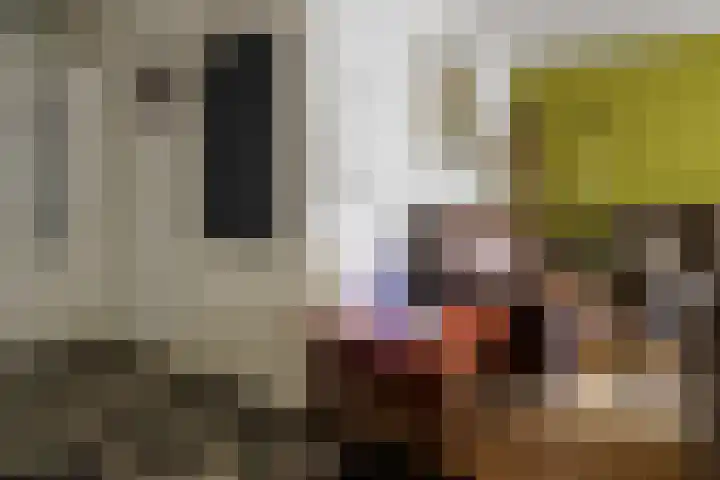 De Groenling 32 Vriezenveen thumbnail 18
