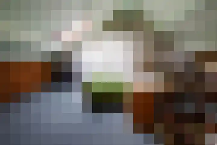 De Groenling 32 Vriezenveen thumbnail 24