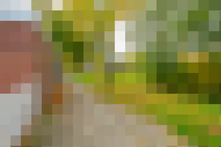 De Groenling 32 Vriezenveen thumbnail 34