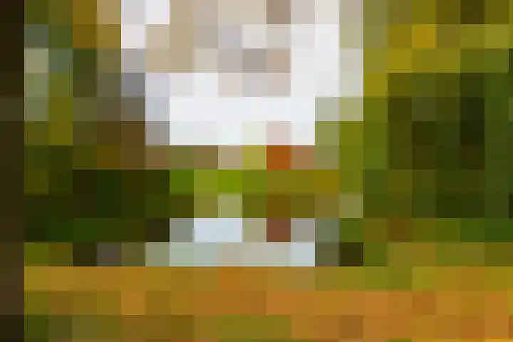 De Groenling 32 Vriezenveen thumbnail 7
