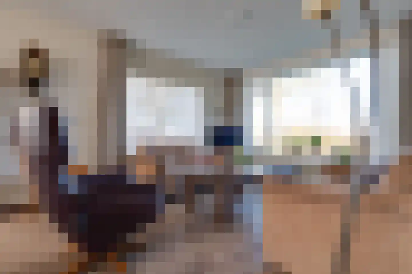 De Groenling 40 Surhuisterveen thumbnail 12