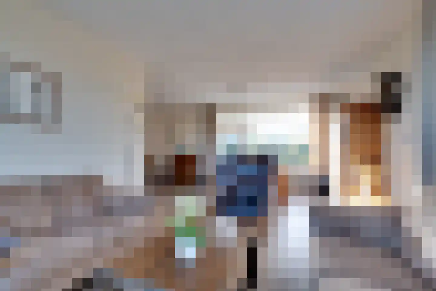 De Groenling 40 Surhuisterveen thumbnail 13