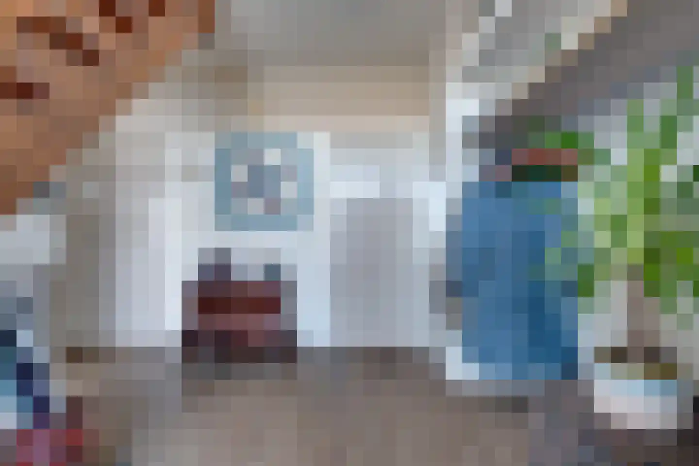 De Groenling 40 Surhuisterveen thumbnail 15