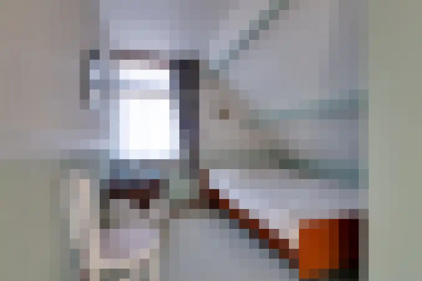 De Groenling 40 Surhuisterveen thumbnail 33