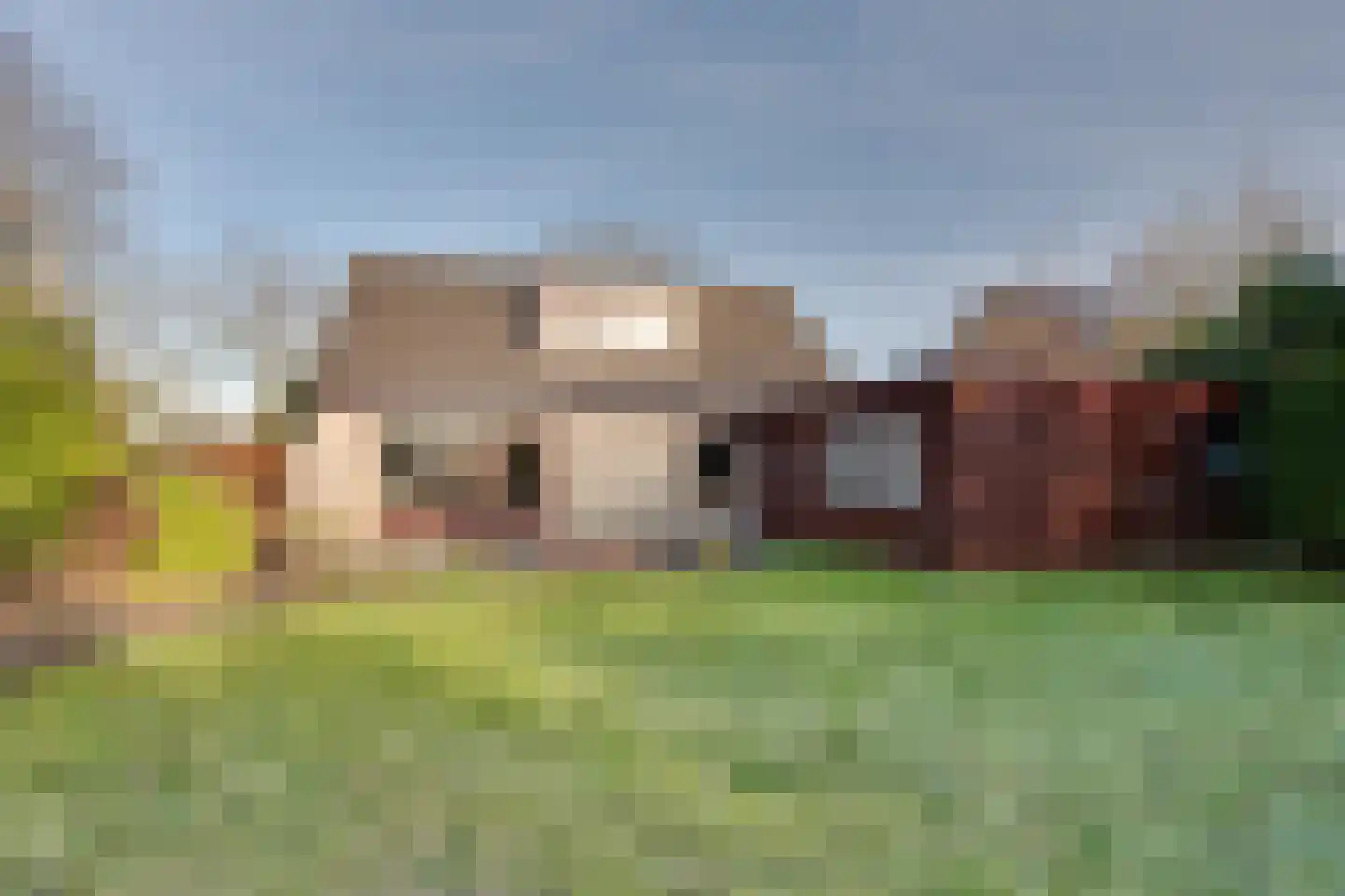 De Groenling 40 Surhuisterveen thumbnail 46