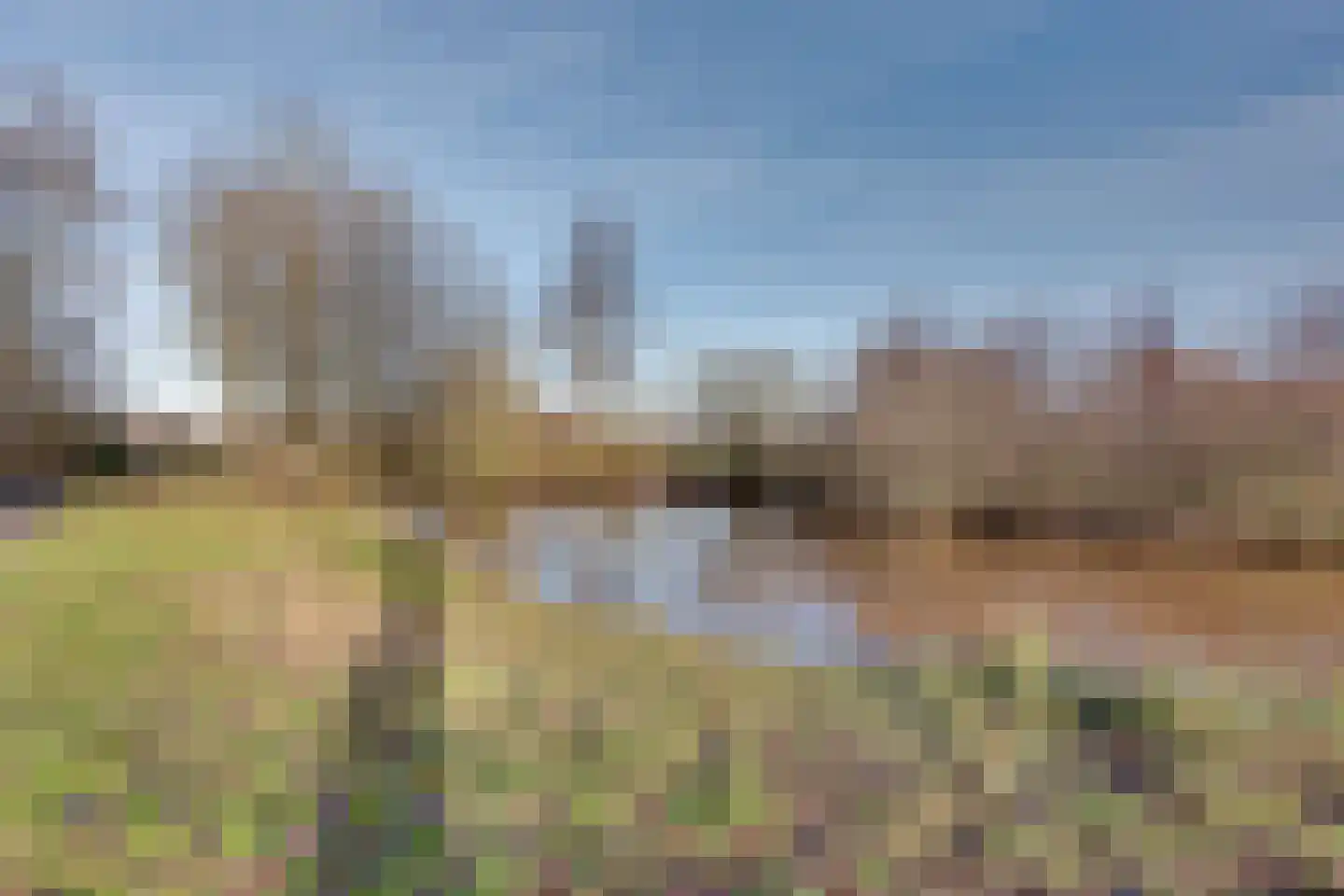 De Groenling 40 Surhuisterveen thumbnail 51