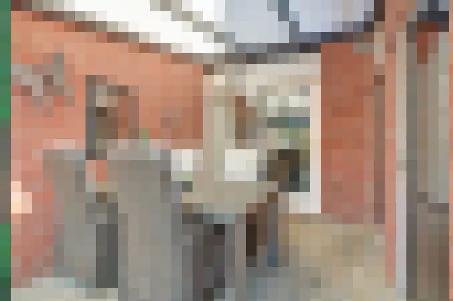De Groenling 42 Vriezenveen thumbnail 29
