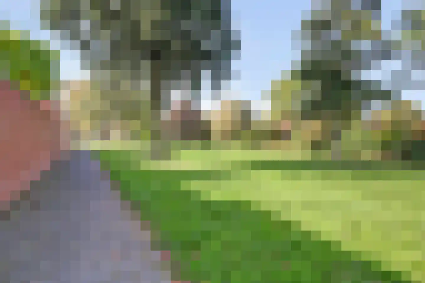 De Groenling 42 Vriezenveen thumbnail 35