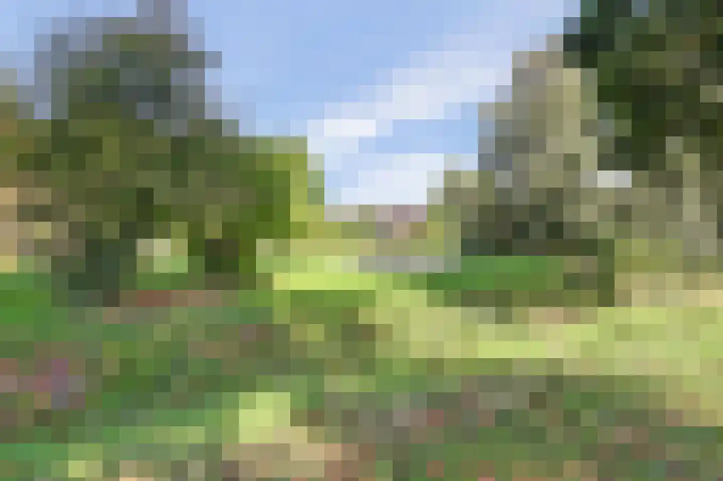De Groenling 42 Vriezenveen thumbnail 36