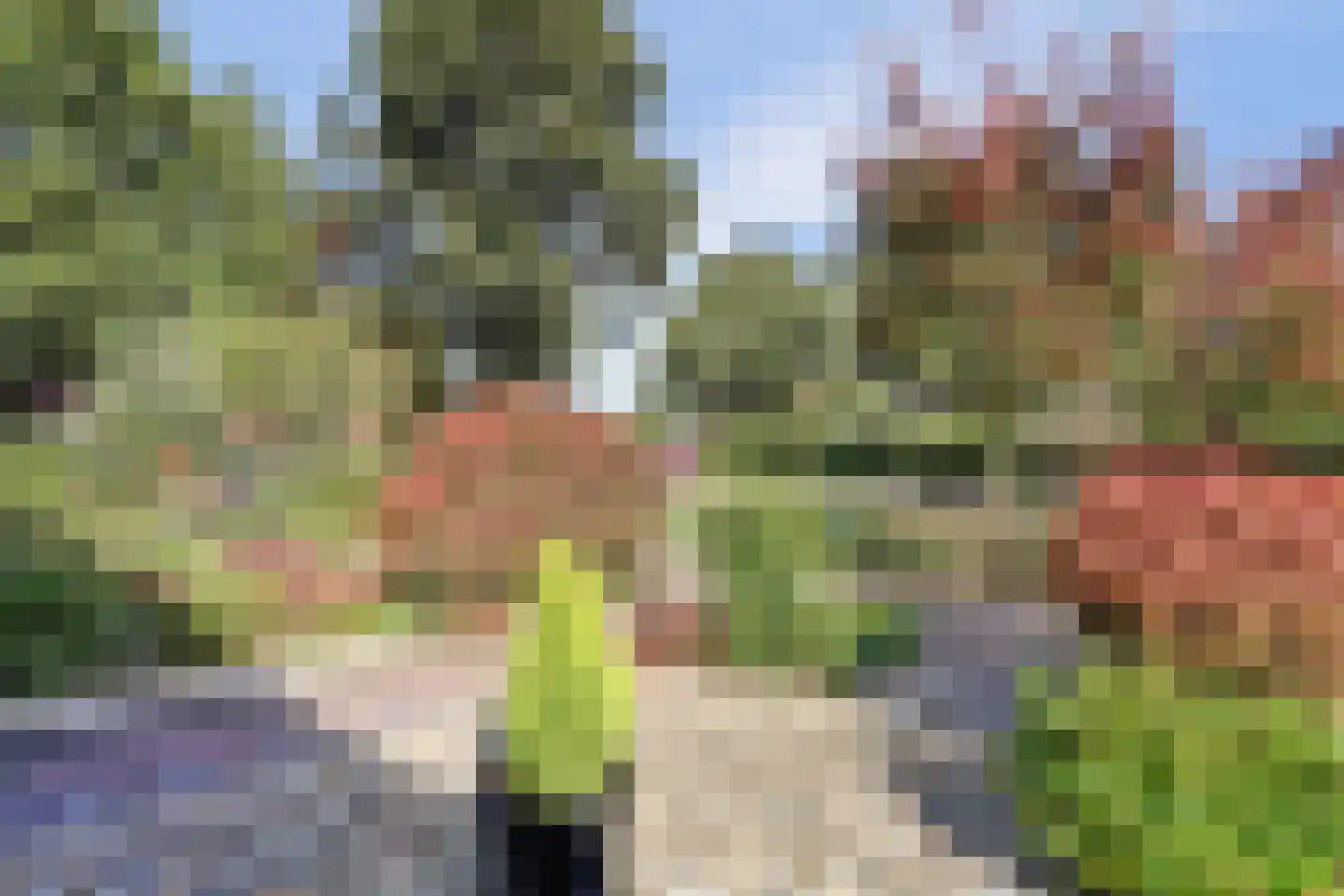 De Groenling 42 Vriezenveen thumbnail 41