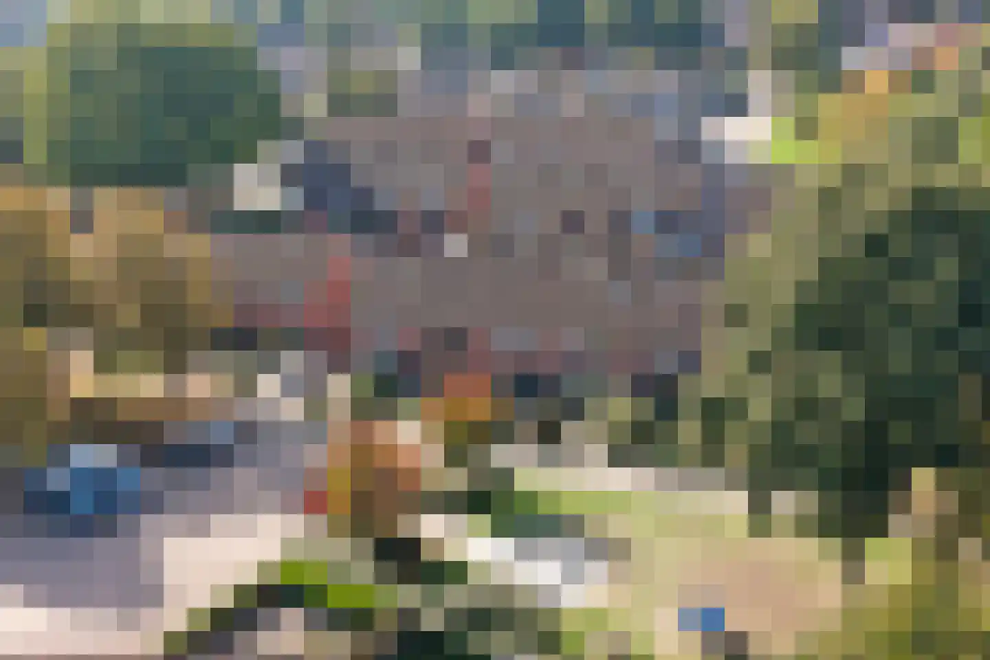 De Groenling 42 Vriezenveen thumbnail 42