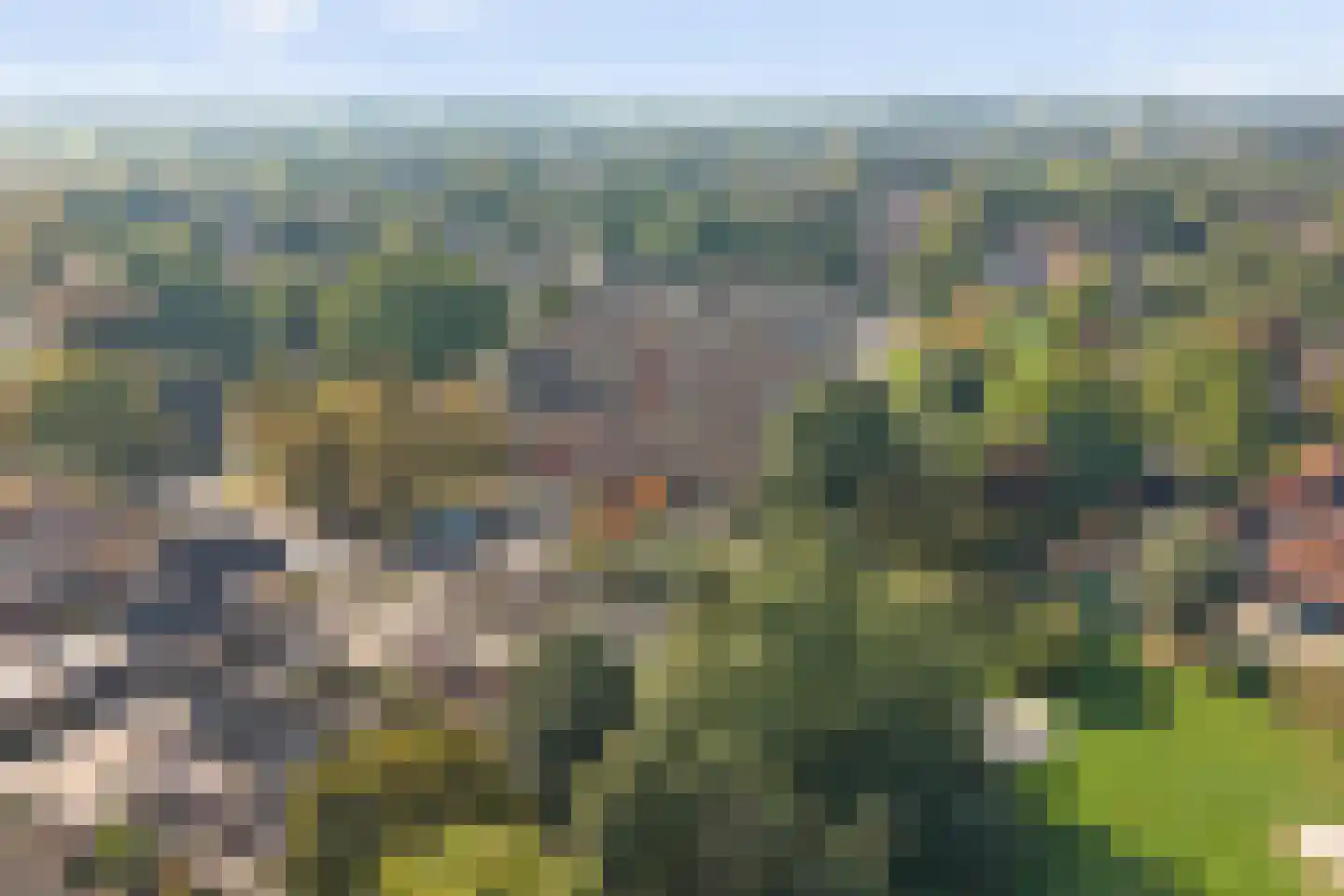 De Groenling 42 Vriezenveen thumbnail 43